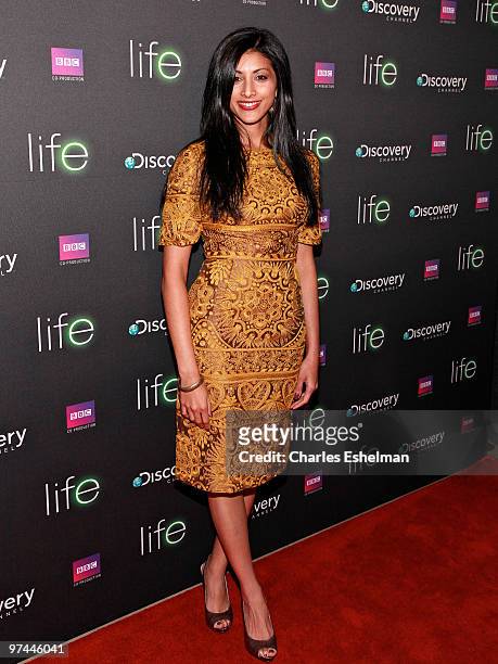 S "Royal Pains" actress Reshma Shetty attends the premiere of "Life" at Alice Tully Hall, Lincoln Center on March 4, 2010 in New York City.
