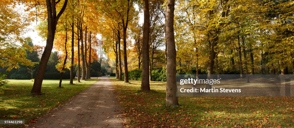 Hilverbeek, autumn panorama