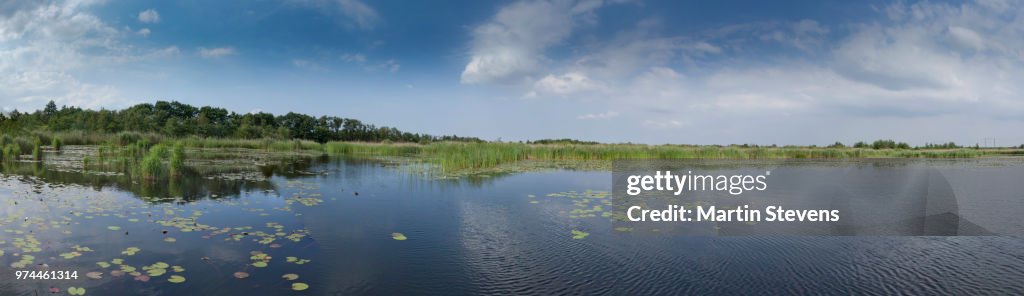 Naardermeer panorama, Netherlands