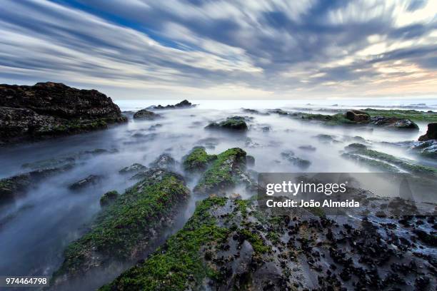 cabo mondego - mondego stock pictures, royalty-free photos & images
