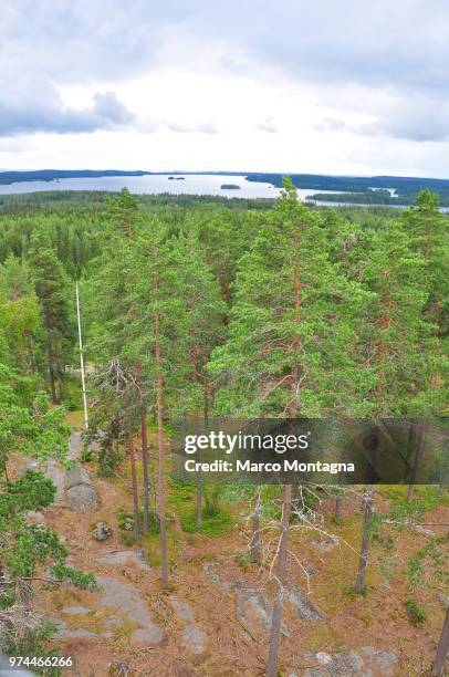 roverway 2012 - finnish landscape - montagna stock pictures, royalty-free photos & images