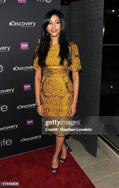 Personality Reshma Shetty attends the premiere of Discovery Channel's "Life" at Alice Tully Hall, Lincoln Center on March 4, 2010 in New York City.