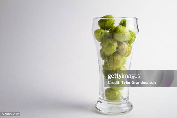 hops in beer glass - fotoshop stockfoto's en -beelden