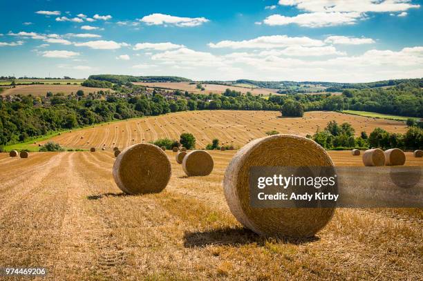 bales of hay on field, kent, south east england, england, uk - kent foto e immagini stock