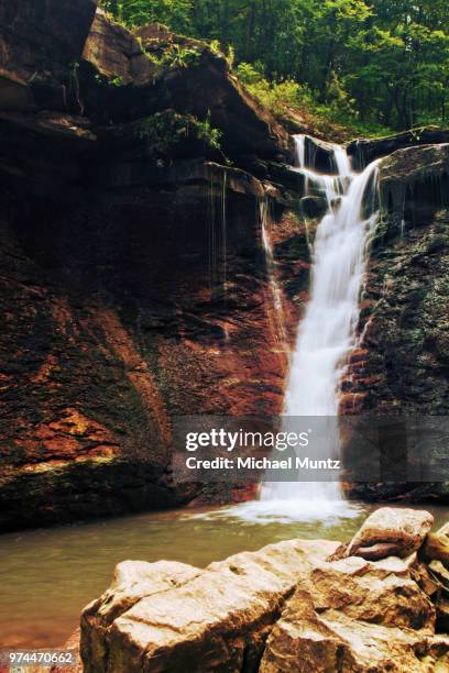 milk falls - milk stream stock pictures, royalty-free photos & images