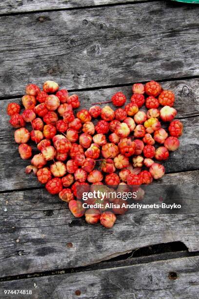 cloudberry - cloudberry stockfoto's en -beelden