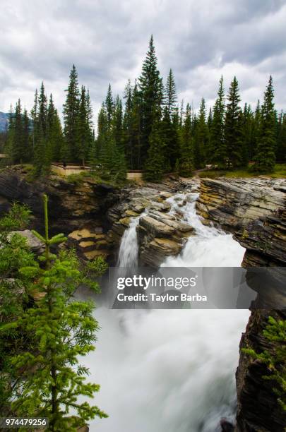 right before the storm - barba stock pictures, royalty-free photos & images