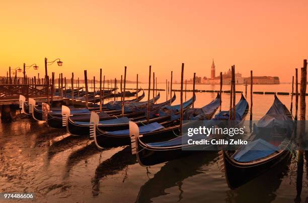 gondolas moored side by side at sunset, venice, italy. - venedig gondel stock-fotos und bilder