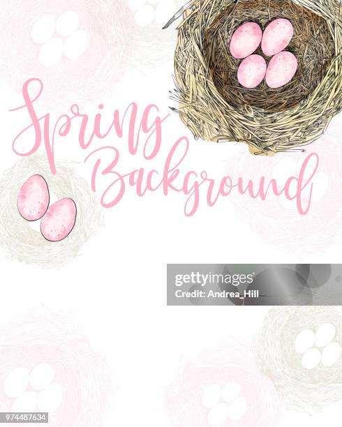 bird nest vector design template with copy space - easter chick white background stock illustrations