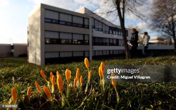 Crocuses flourish in front of the Albertville School on March 4, 2010 in Winnenden, Germany. Tim Kretschmer opened fire on teachers and pupils at his...