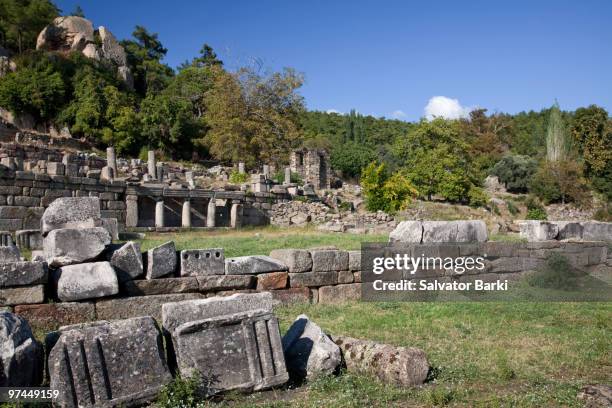la branda - branda stock pictures, royalty-free photos & images