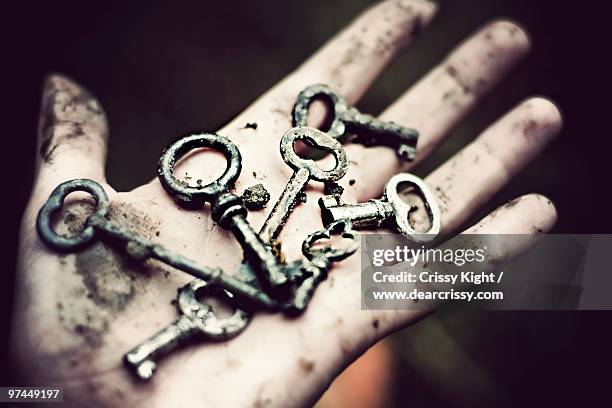 many keys for the same door - chillicothe stock pictures, royalty-free photos & images