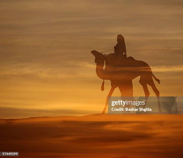 sunset - tuareg stockfoto's en -beelden