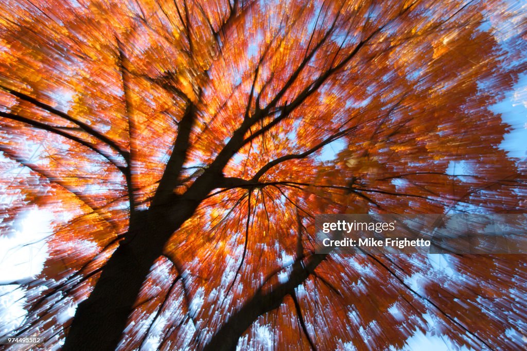 Fall Has Come