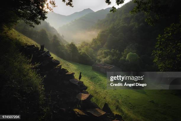 dawn at valleys of the pas, valleys of the pas and miera, cantabria, spain - cantabria stockfoto's en -beelden