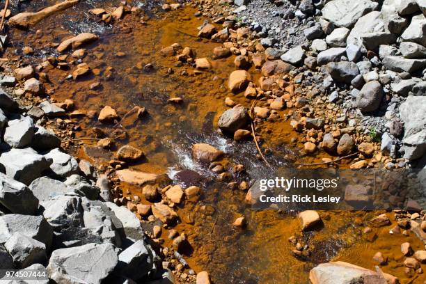 riverbed - oil slick stock pictures, royalty-free photos & images