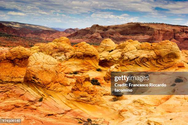 Seven Brain Rocks Brain Rock Photos and Premium High Res Pictures - Getty Images
