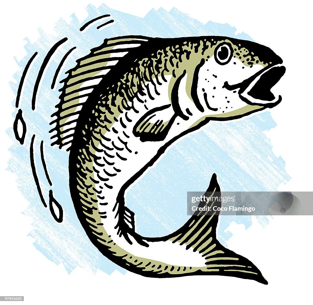 An illustration of a fish out of water
