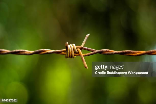 Brabwire Rusted 1,158 Rusted Barbed Wire Stock Photos, High-Res Pictures, and Images ...