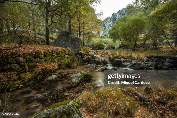 glaciar valley ii - glaciar stock pictures, royalty-free photos & images