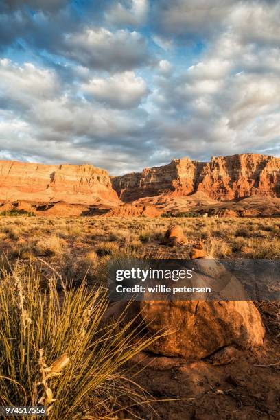 marble canyon at sunrise, marble canyon, arizona, usa - marble canyon foto e immagini stock