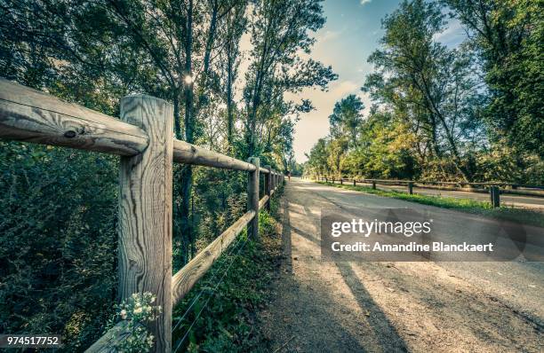 un petit footing ! - footing stock-fotos und bilder