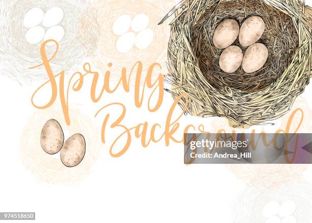 bird nest vector design template with copy space - easter chick white background stock illustrations