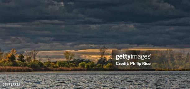 677 Philip Rice Stock Photos, High-Res Pictures, and Images - Getty Images