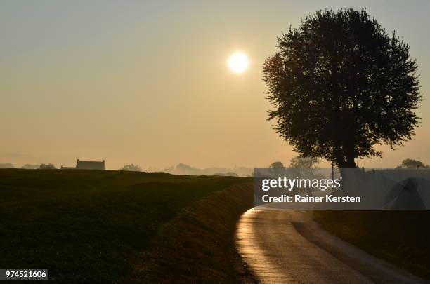 ochtend dauw, morning dew - ochtend fotografías e imágenes de stock