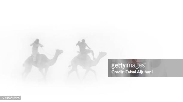 camel in the dust - camel active stockfoto's en -beelden