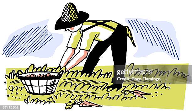 an illustration of a man working in the fields - freizeit latzhose stock-grafiken, -clipart, -cartoons und -symbole