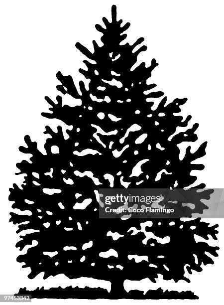 stockillustraties, clipart, cartoons en iconen met a black and white version of a christmas pine tree - black christmas