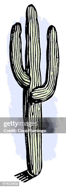 a vintage cactus - hot coco stock illustrations