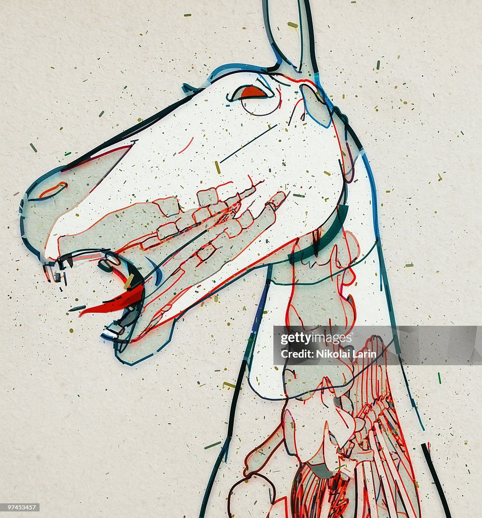 A drawing of a horses head with a view of muscle, tendons and bones