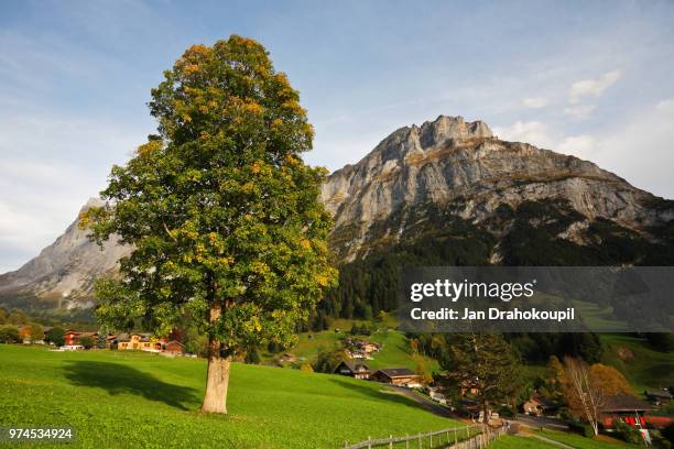 grindelwald - ruinas incas de machu picchu fotografías e imágenes de stock