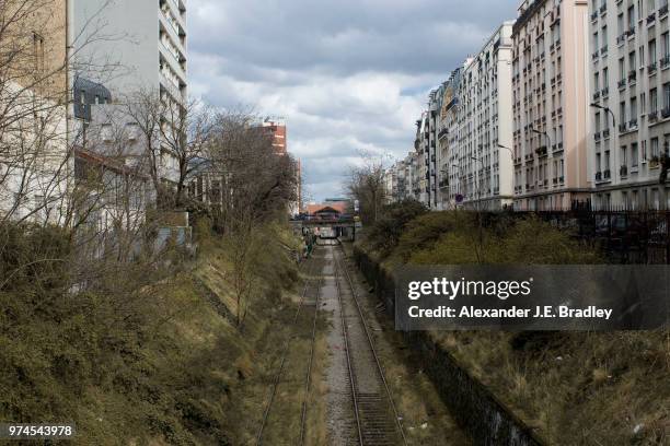 plonge // plunge - citoplasma imagens e fotografias de stock