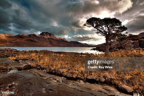 beinn lair from loch maree - wester ross stockfoto's en -beelden