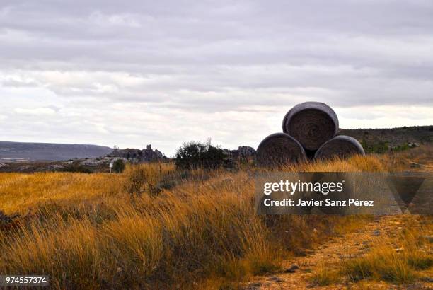 balas de paja castilla - paja stock pictures, royalty-free photos & images