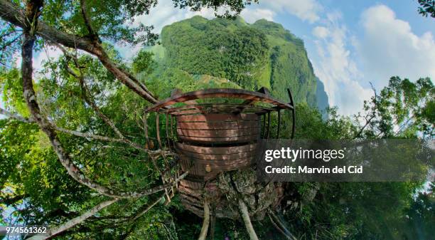 mirador de semuc champey - semuc champey stock pictures, royalty-free photos & images