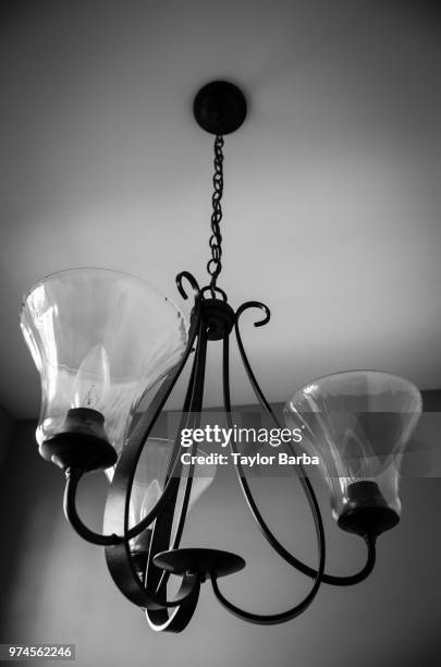 i see the light - barba stock pictures, royalty-free photos & images