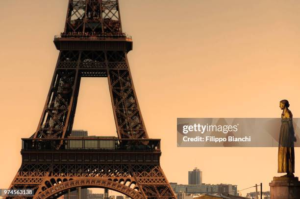 the eifel tower in paris, france. - eifel toren stockfoto's en -beelden