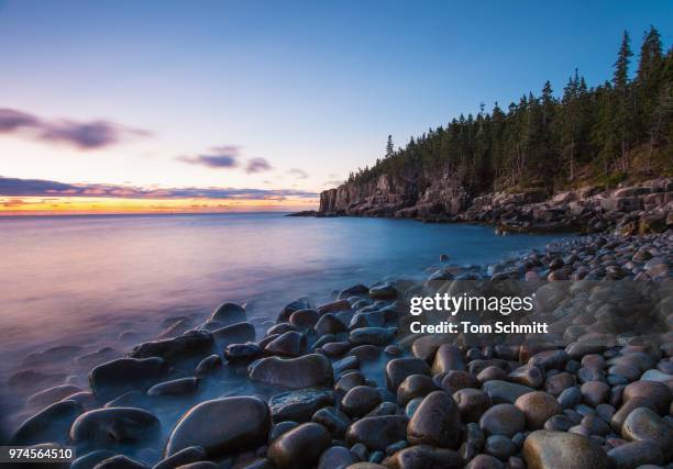 forest near rocky beach, otter cliffs, acadia national park, maine, usa - maine coastline stock pictures, royalty-free photos & images