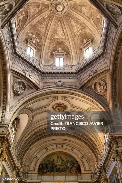 959 Catedral Interior Stock Photos, High-Res Pictures, and Images ...