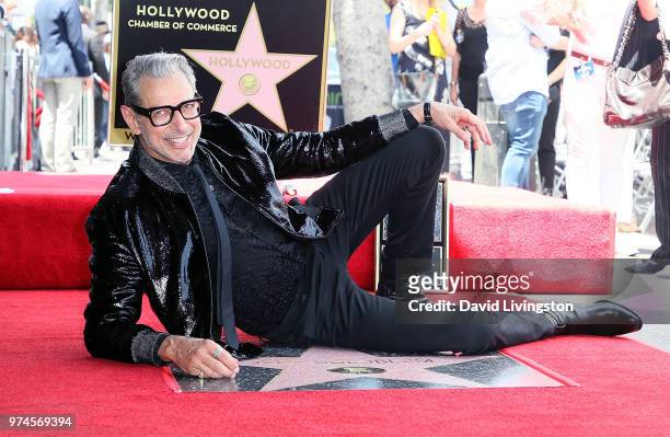 Actor Jeff Goldblum attends his being honored with a Star on the Hollywood Walk of Fame on June 14, 2018 in Hollywood, California.