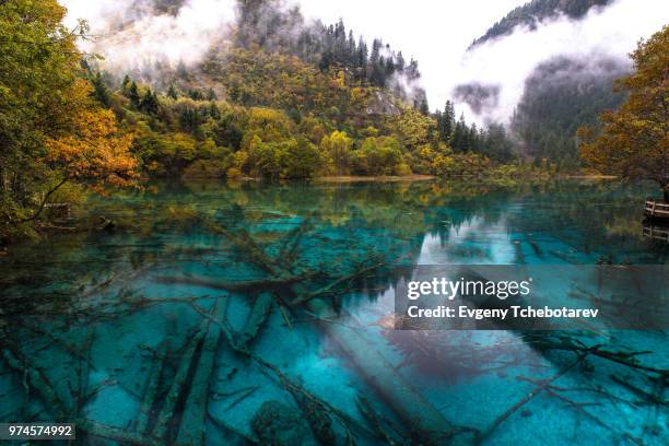 five colour lake - jiuzhaigou imagens e fotografias de stock