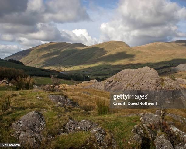 foel goch - goch stock pictures, royalty-free photos & images