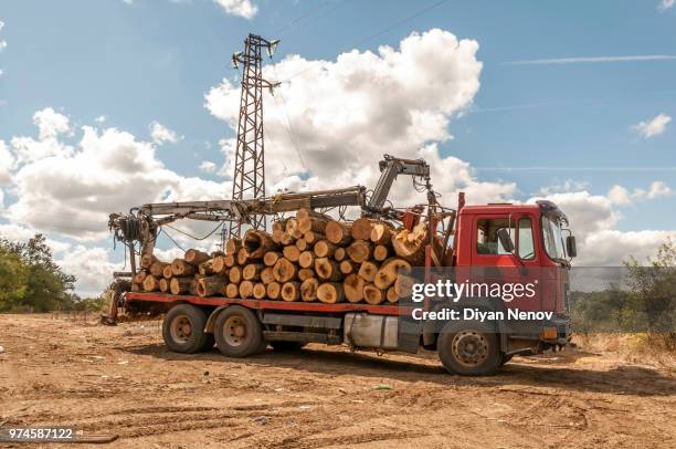Lumber Loading 218 Loading Truck With Lumber Stock Photos, High-Res Pictures, and ...