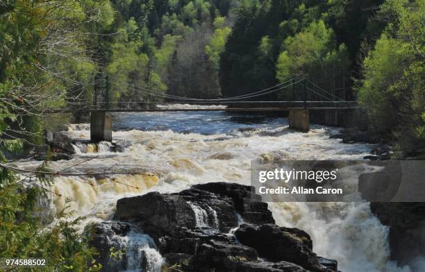 pont au dessus des canyon - dessus stock pictures, royalty-free photos & images