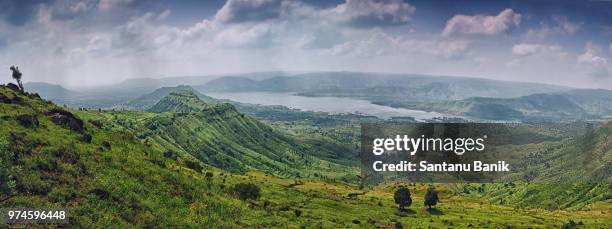 kaas valley, maharashtra, india - kaas - fotografias e filmes do acervo