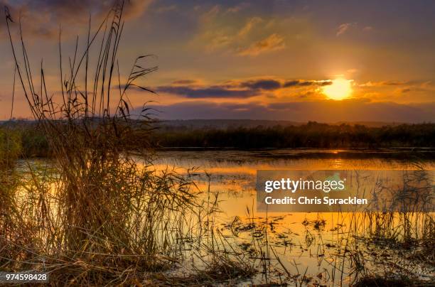 Shepswick 123 Shapwick Stock Photos, High-Res Pictures, and Images - Getty Images